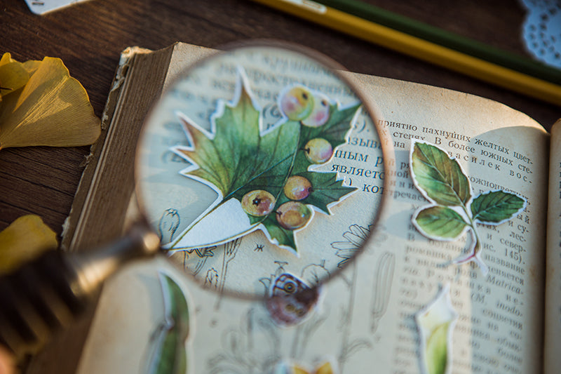 Doolittle's Garden Sticker Sheet: Judith