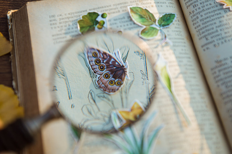 Doolittle's Garden Sticker Sheet: Judith