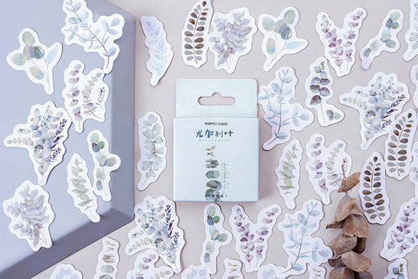 Eucalyptus Box Sticker Set