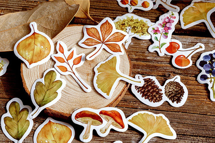 Fall Foliage Box Sticker Set