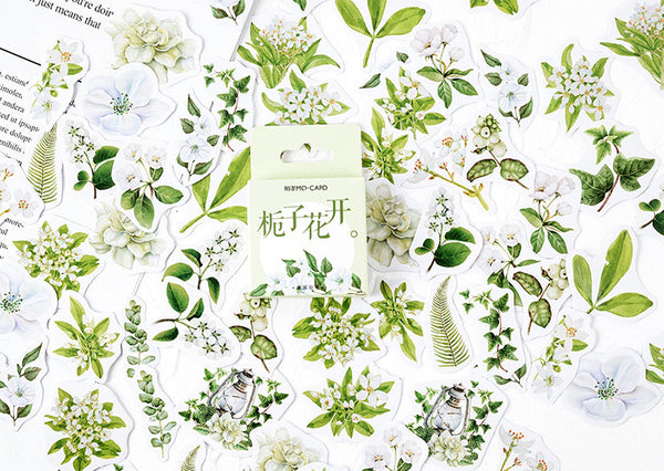 Gardenia Flowers Box Sticker Set