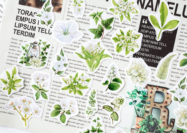 Gardenia Flowers Box Sticker Set