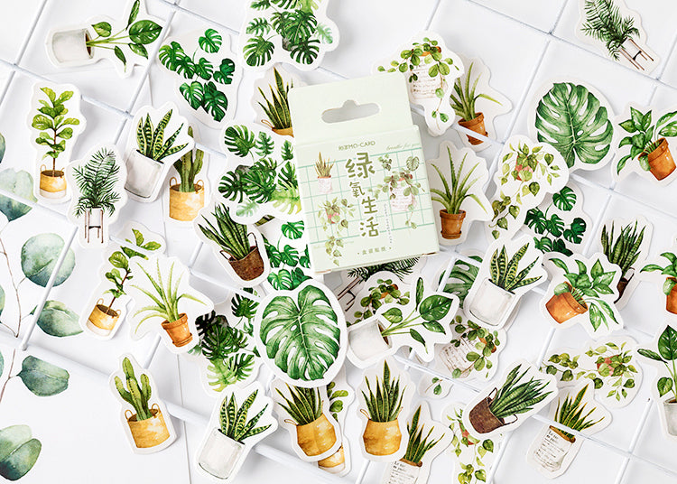 House Plants Box Sticker Set