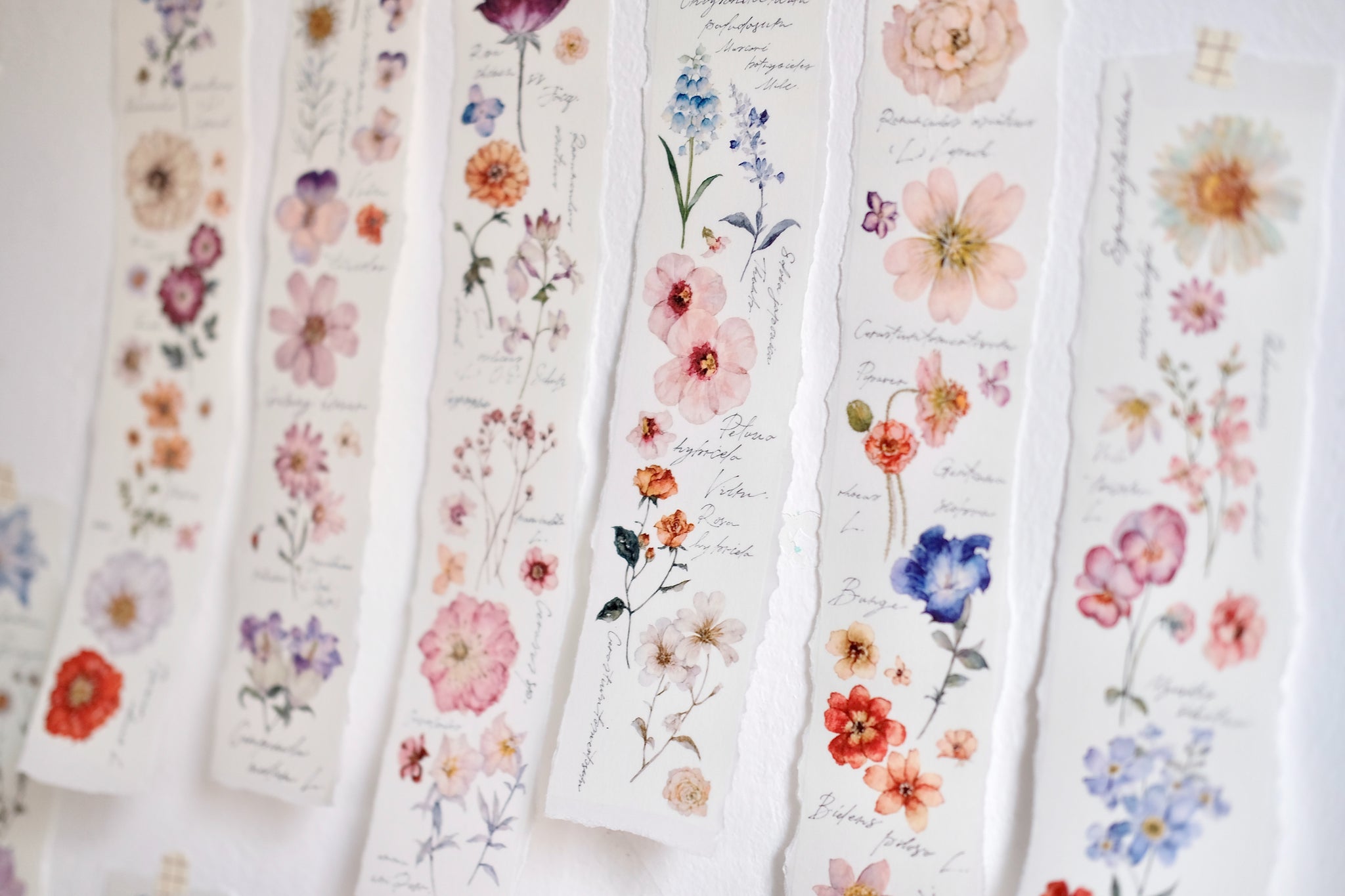 Freckles Tea Tape Sample: Flower Illustrated Handbook