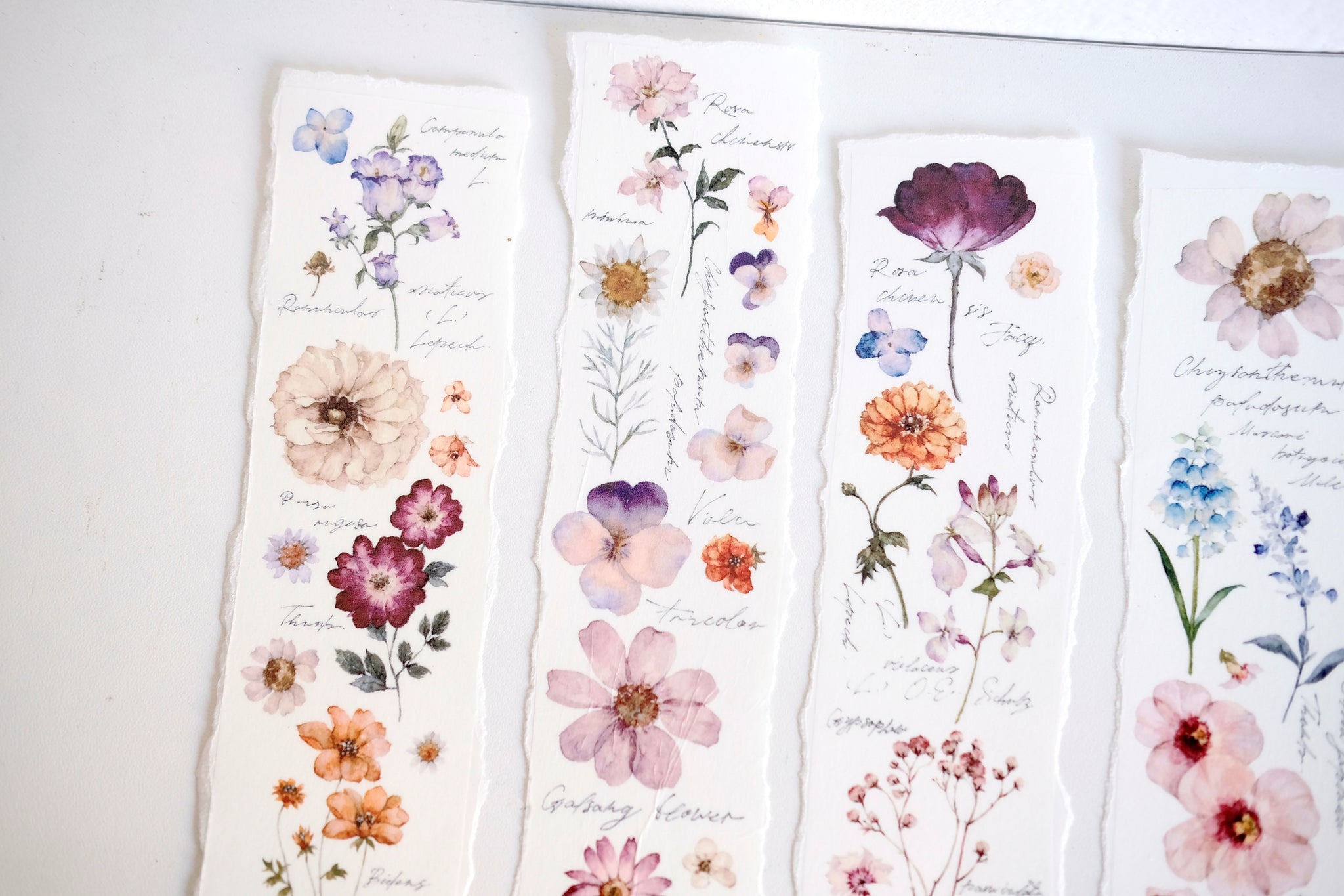 Freckles Tea Tape Sample: Flower Illustrated Handbook