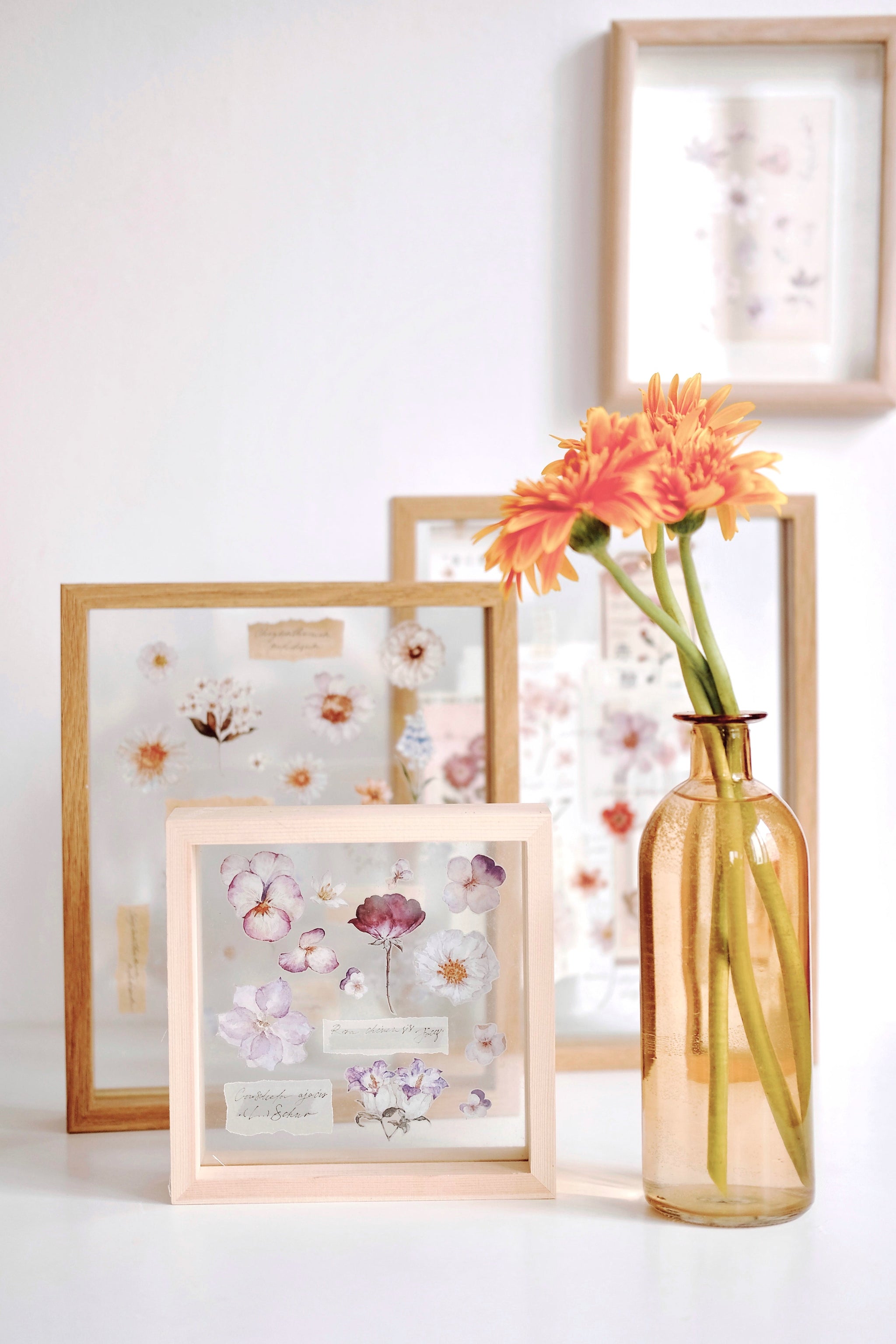 Freckles Tea Tape: Illustrated Flowers Handbook