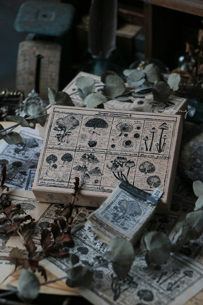 LCN Design Studio: Fungus Notecard Rubber Stamp 2