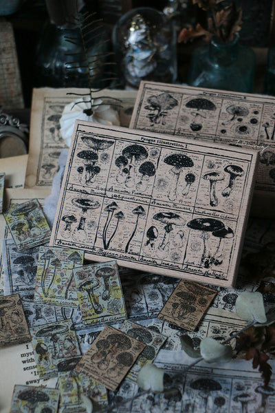 LCN Design Studio: Fungus Notecard Rubber Stamp 1