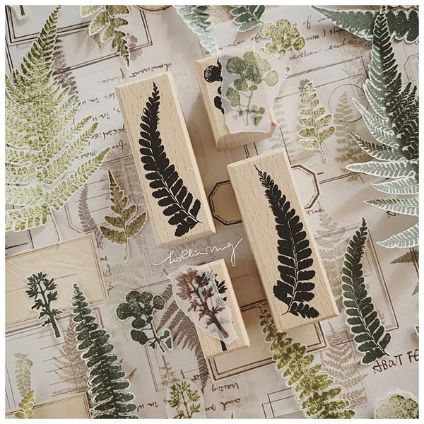 LCN Design Studio: Fern Specimen Rubber Stamps