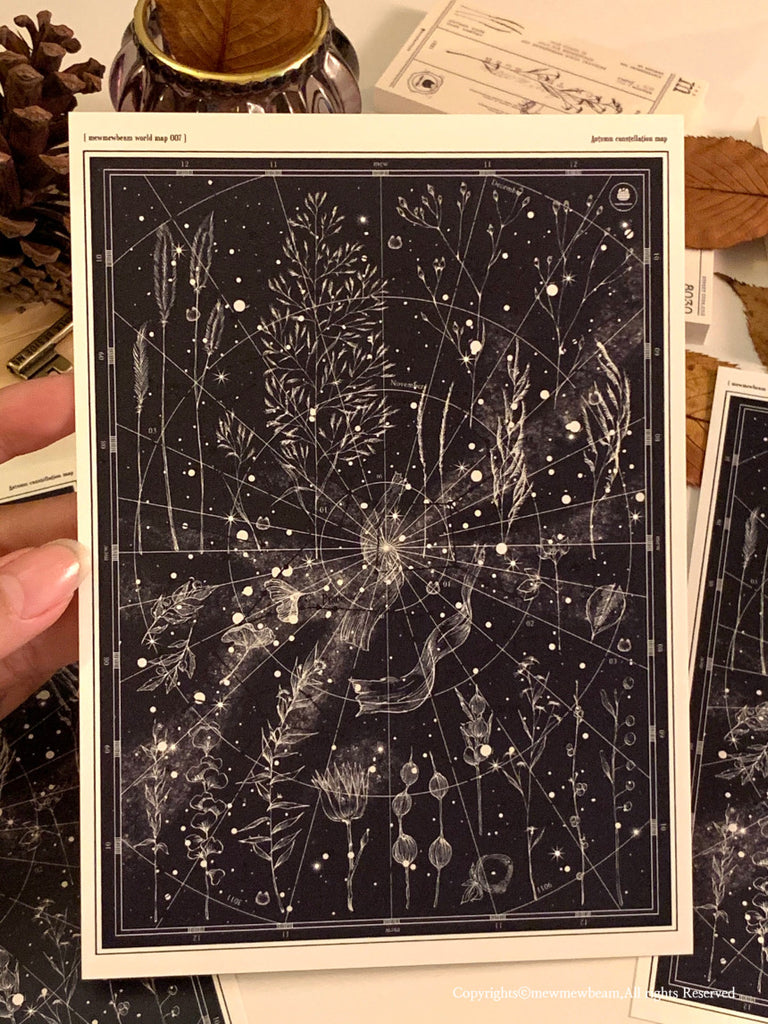 Mewmewbeam Postcard: Map 007