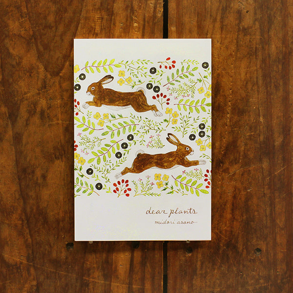 Cozyca Postcards Booklet: Dear Plants