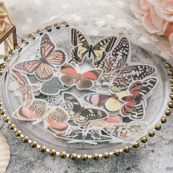 Moths and Butterflies Translucent Stickers Pack
