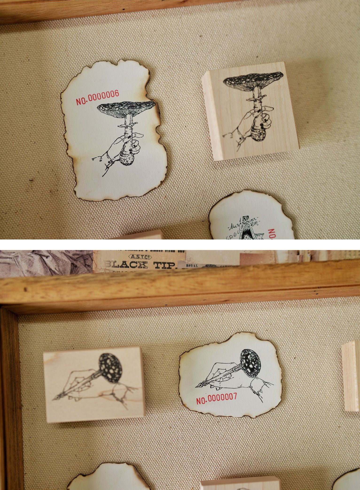 Benchu Studio: Mushroom Collector Stamps (Set B)