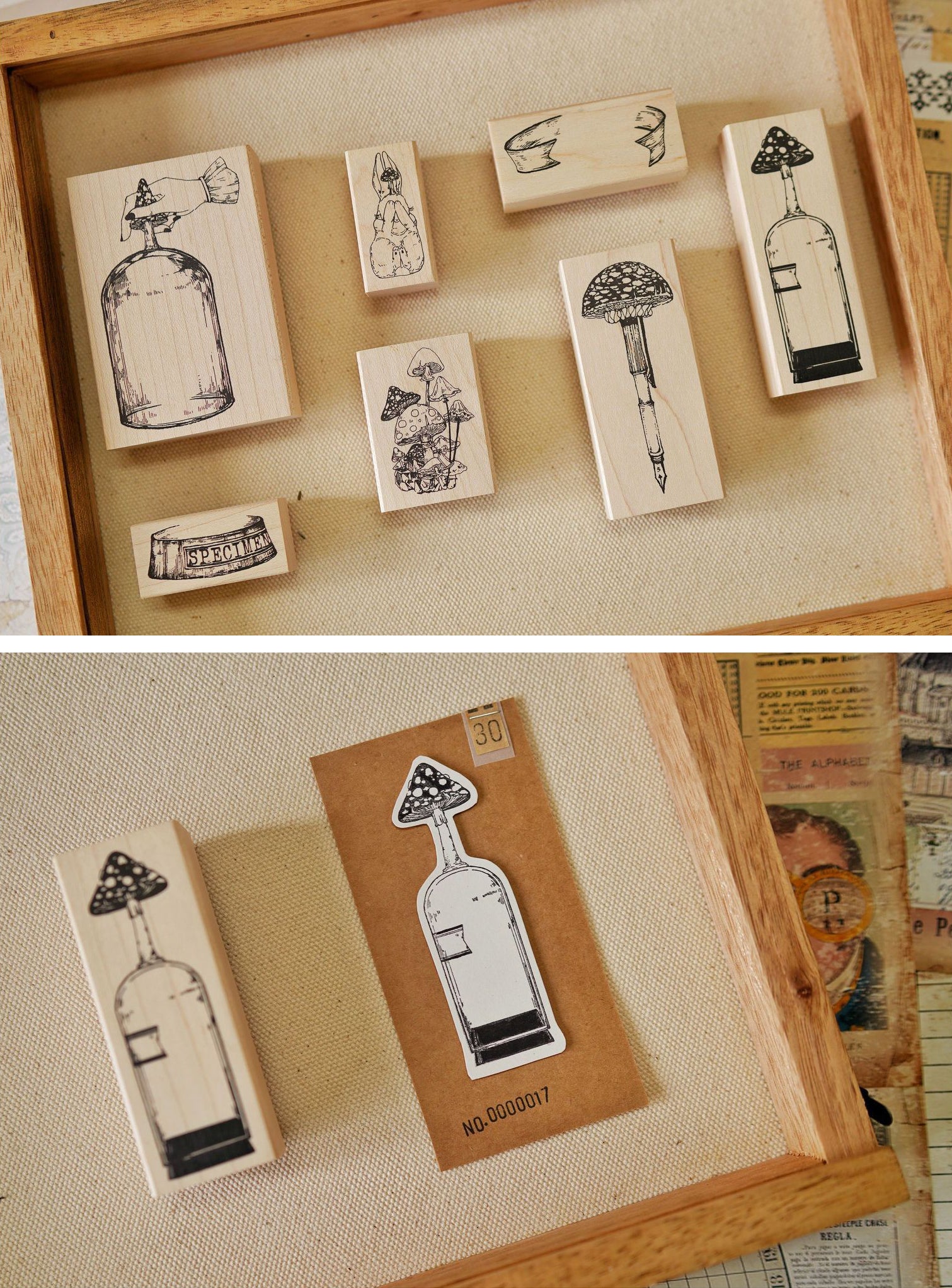 Benchu Studio: Mushroom Collector Stamps (Set E)