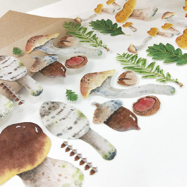 My Little Mushrooms Clear Tape