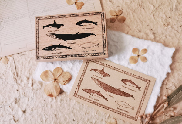 Oceanic Studio Stamp: Whale Specimens
