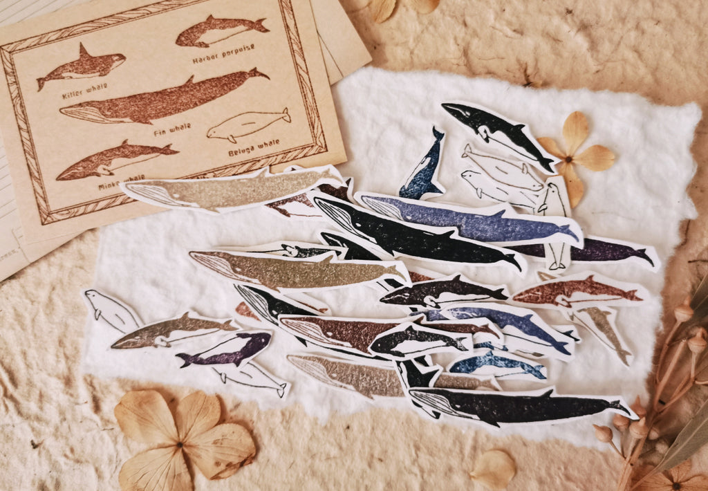 Oceanic Studio Stamp: Whale Specimens