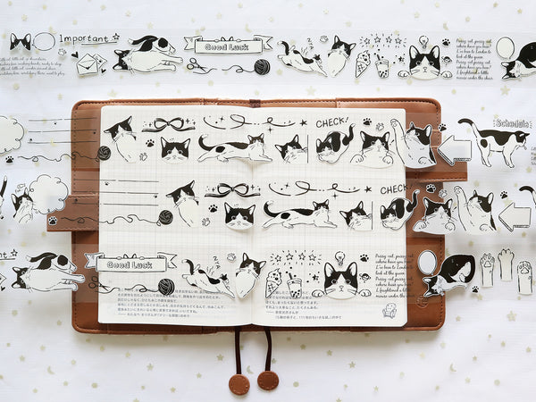 Frolicking Cats: Playtime PET Tape