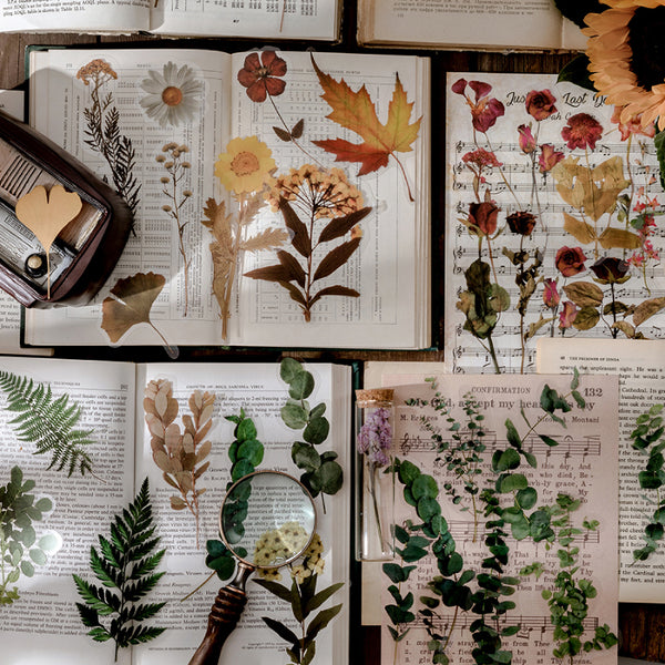 Dried Flowers Clear Stickers Pack