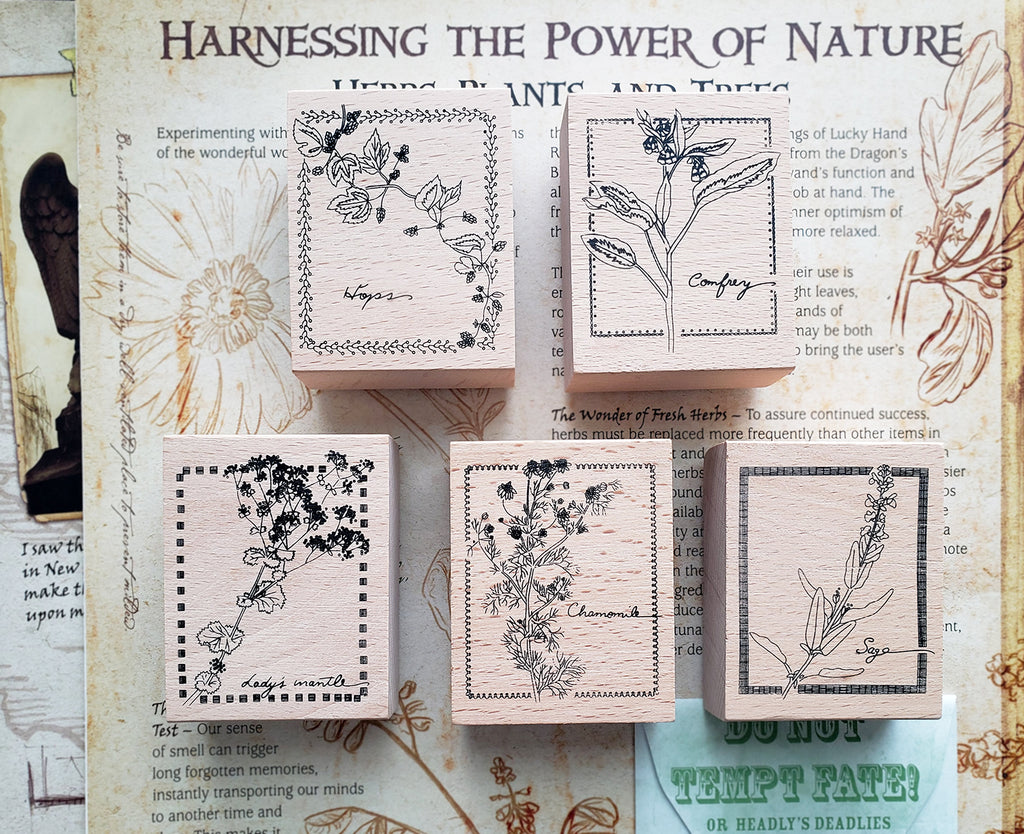 Yowoo Studio Rubber Stamp: Plants Etchings