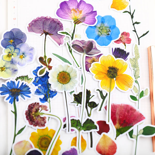 Dried Flowers Stickers Pack