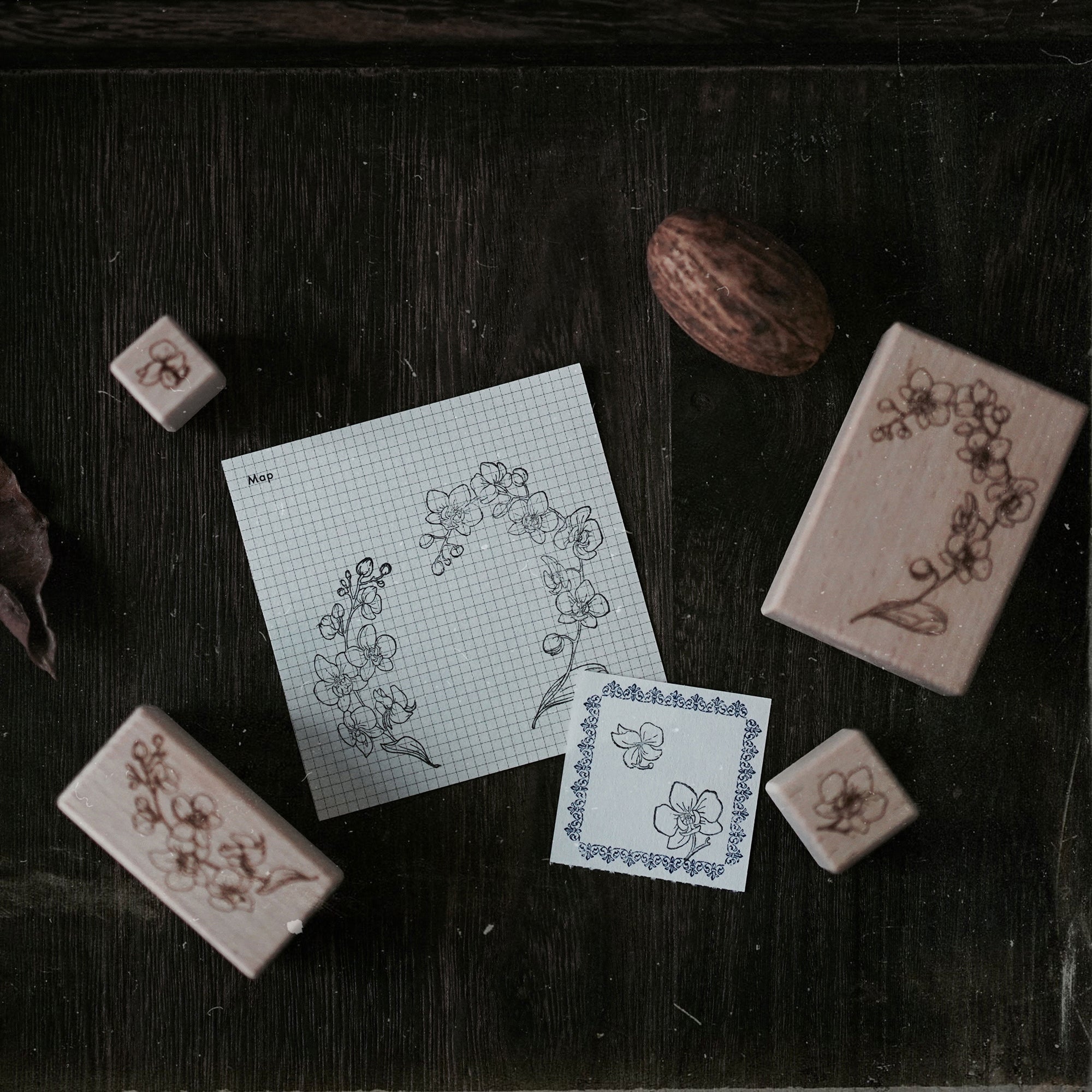Prologue Studio Stamp: Moth Orchid