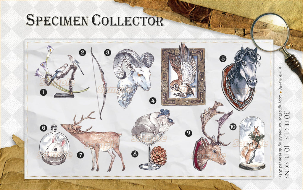 Specimen Collector Stickers Pack: Animals
