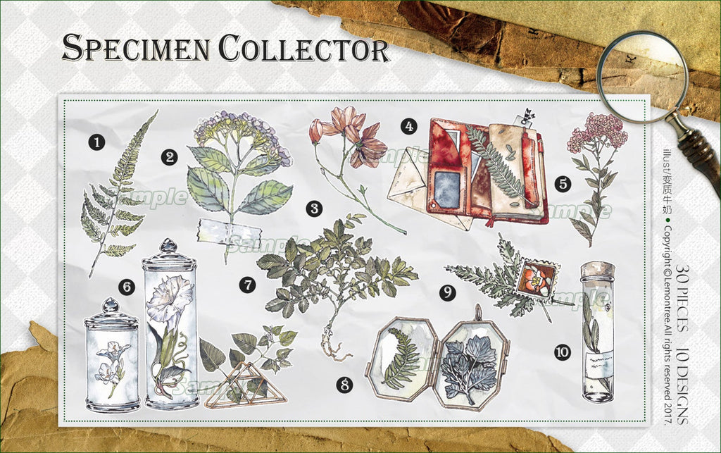 Specimen Collector Stickers Pack: Plants