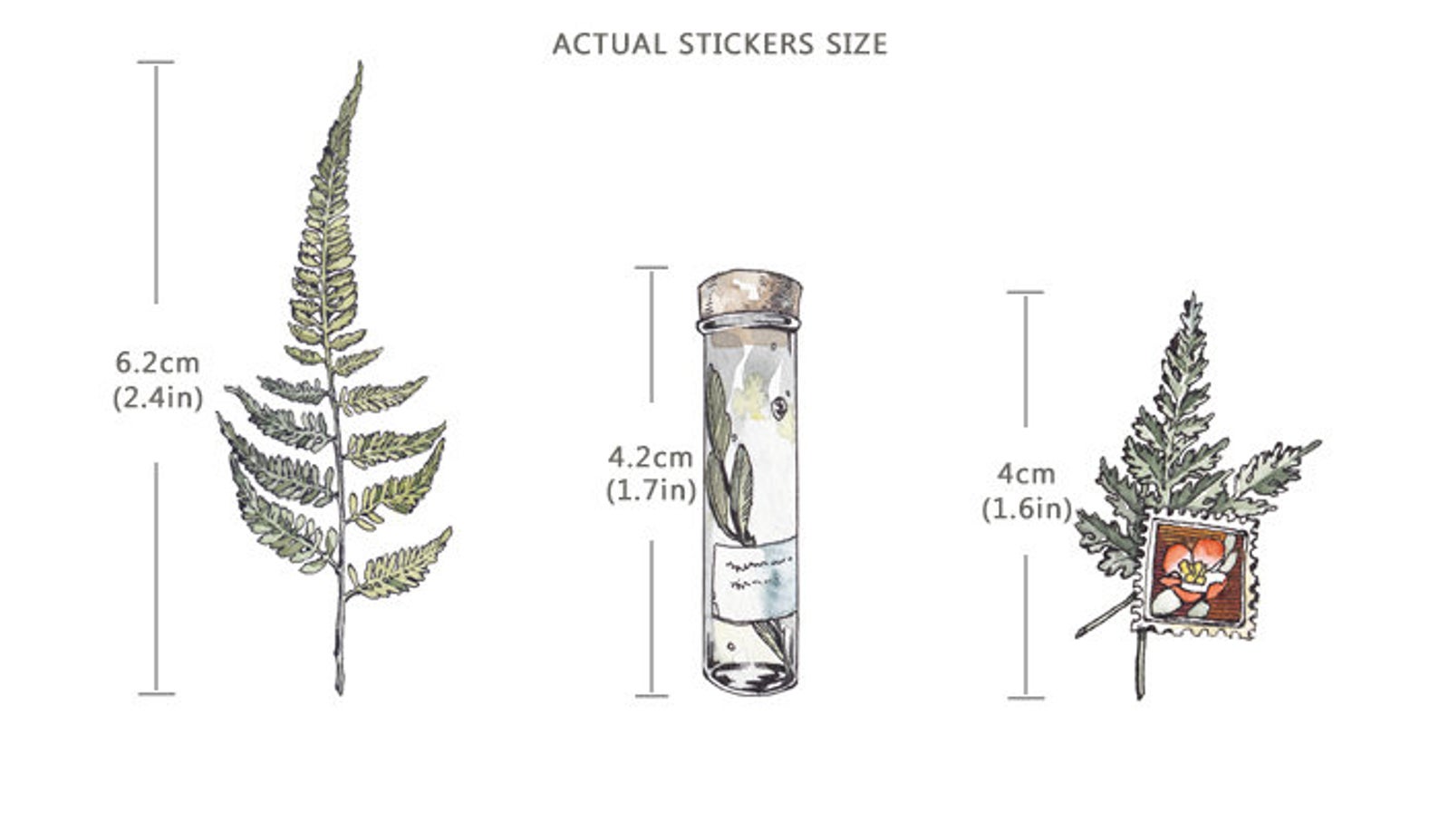 Specimen Collector Stickers Pack: Plants