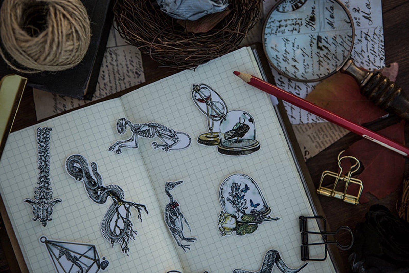 Specimen Collector Stickers Pack: Sketelons
