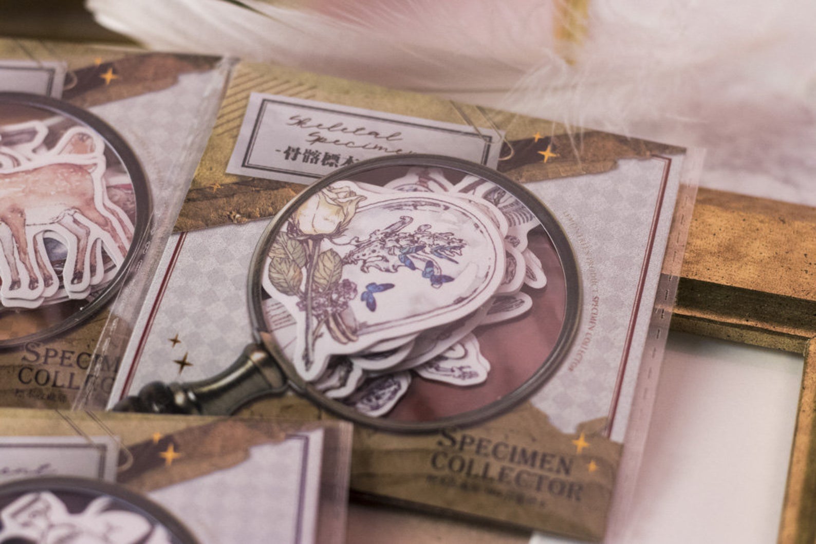 Specimen Collector Stickers Pack: Sketelons