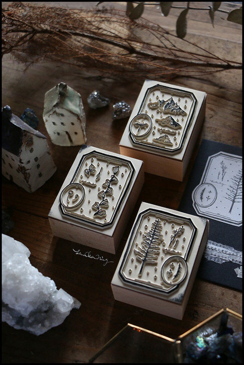 LCN Design Studio: Specimen Wooden Stamps Set