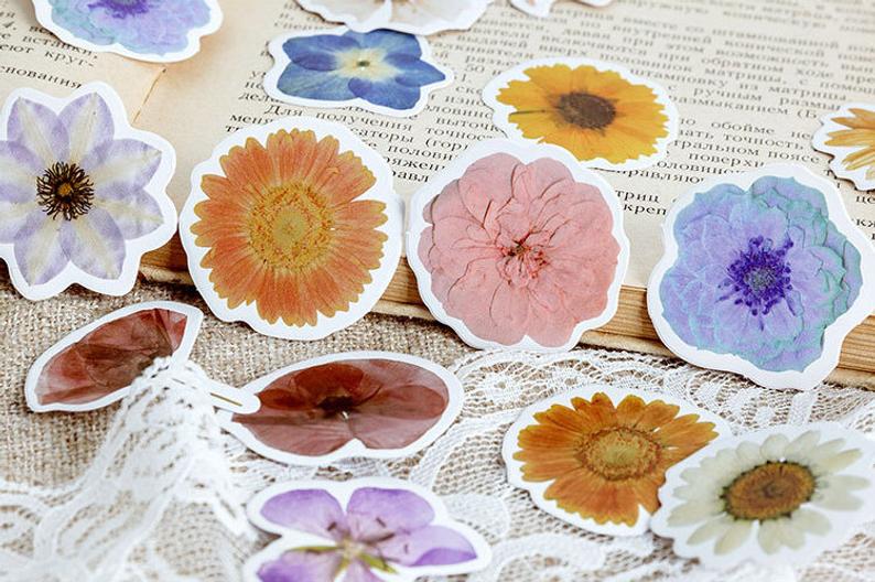 Pressed Flowers Box Stickers Set