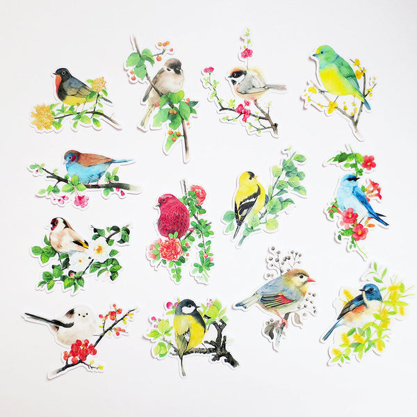 Birds Sticker Pack A