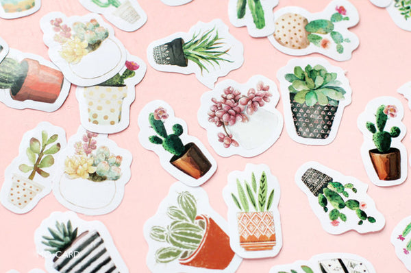 Plants Box Stickers Set
