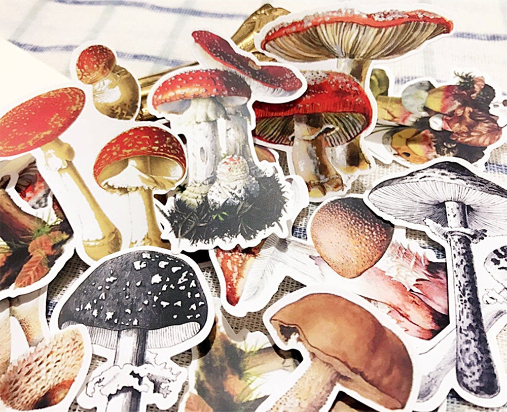 Mushroom Stickers Pack