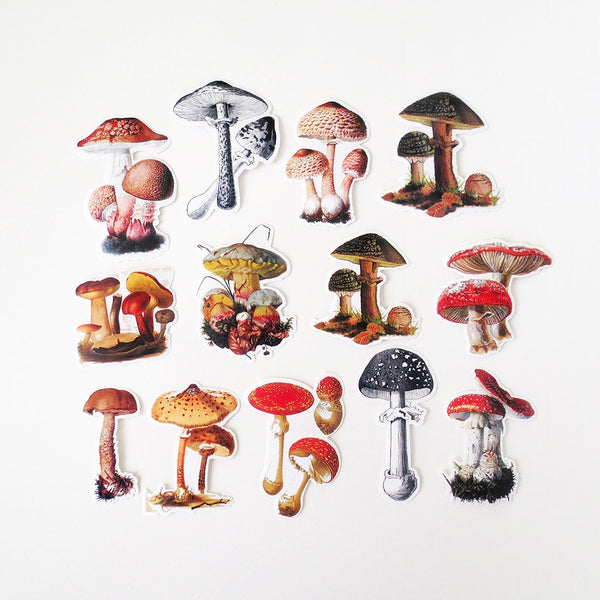 Mushroom Stickers Pack