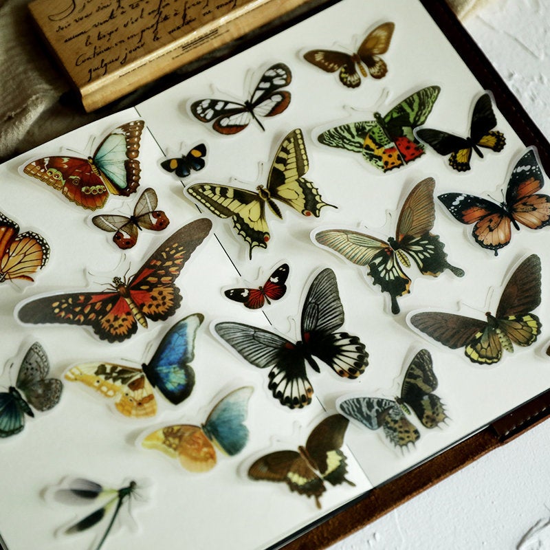 Translucent Butterfly Stickers Pack