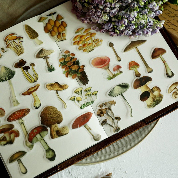 Cheeserabbit Studio: Translucent Mushroom Stickers