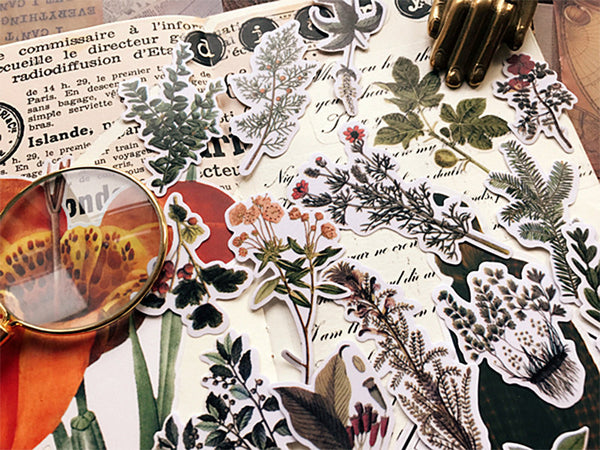 Translucent Vintage Plants Stickers Pack