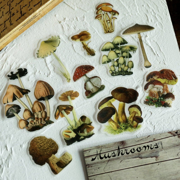 Cheeserabbit Studio: Translucent Mushroom Stickers
