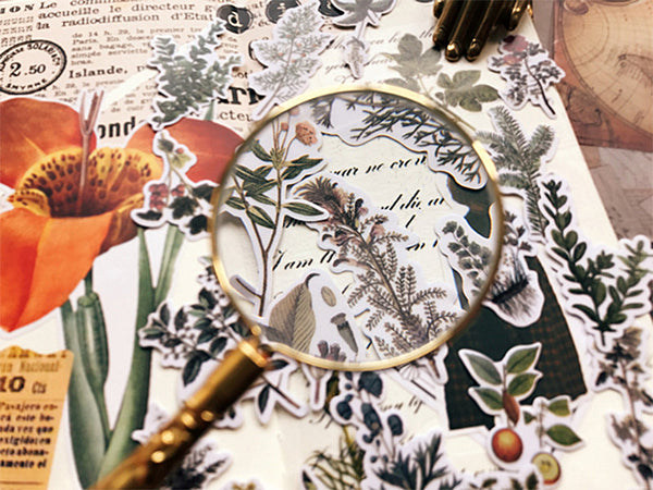 Translucent Vintage Plants Stickers Pack