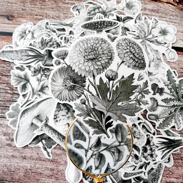 46PCS Botanical Illustration Stickers Pack