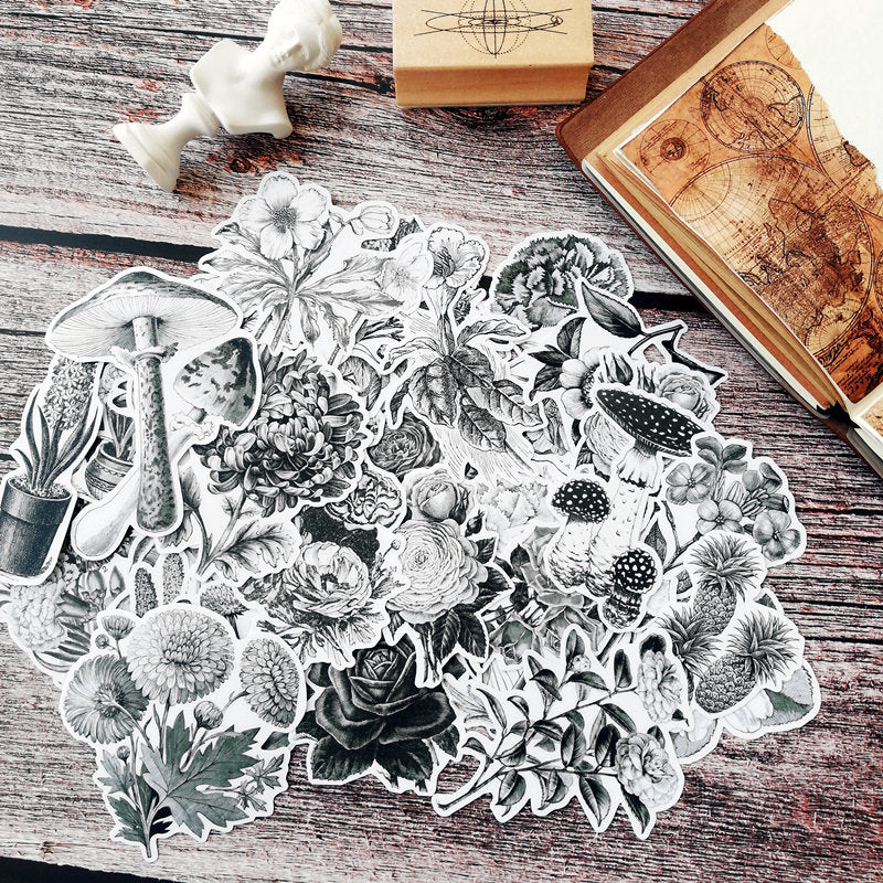 Botanical Illustration Stickers Pack