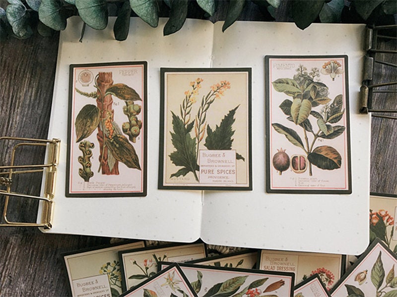 Botany Encyclopedia Stickers Pack