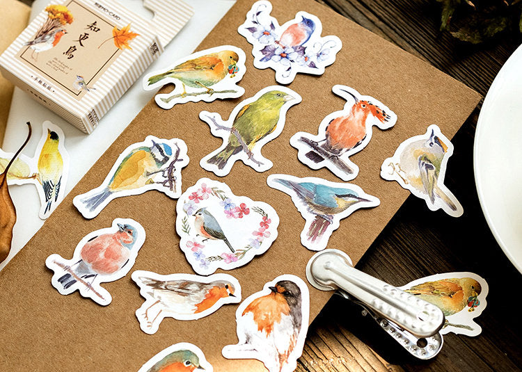 Birds Box Sticker Set