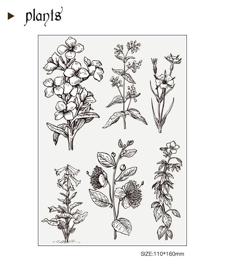 Plants Notes Acrylic Stamp Set