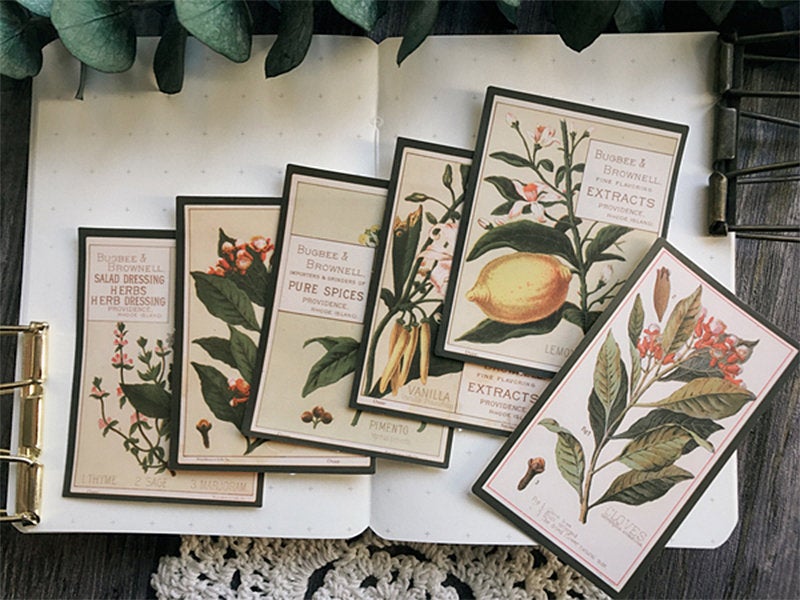 Botany Encyclopedia Stickers Pack