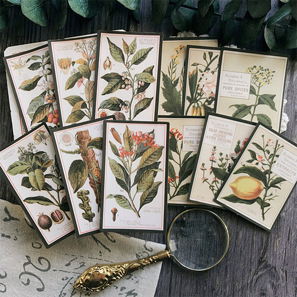 Botany Encyclopedia Stickers Pack