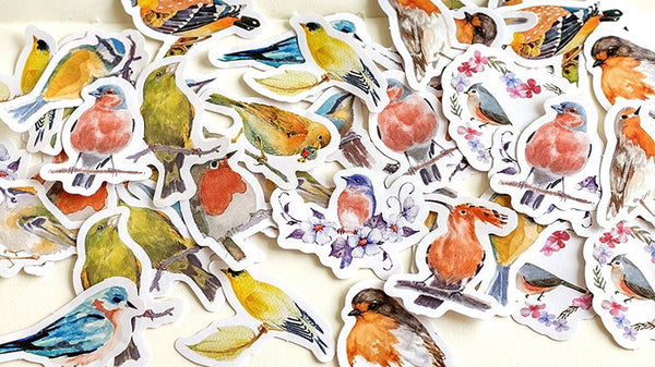 Birds Box Sticker Set